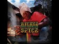 Richie Spice-Everything is upside down