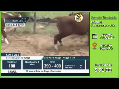 11-04-19 - Venta de Machos - Remate Televisado de Rosgan - Rosario
