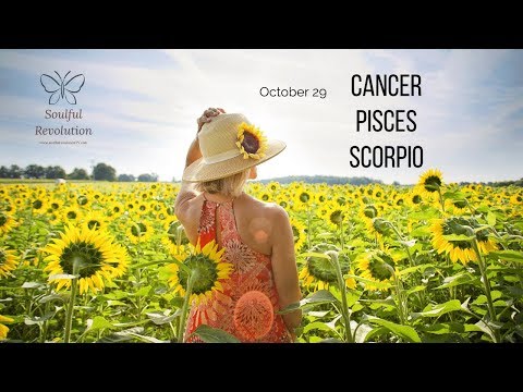 Taking your happiness into your own hands, WATER Sign (Cancer, Pisces, Scorpio) October 29