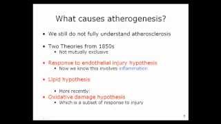 Lipids and atherogenesis 1