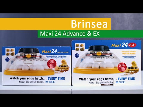 Brinsea Maxi 24 Egg Incubators Poultry Duck Goose - Image 2