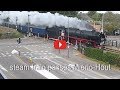 Steamtrain Passes Mierlo Hout 69