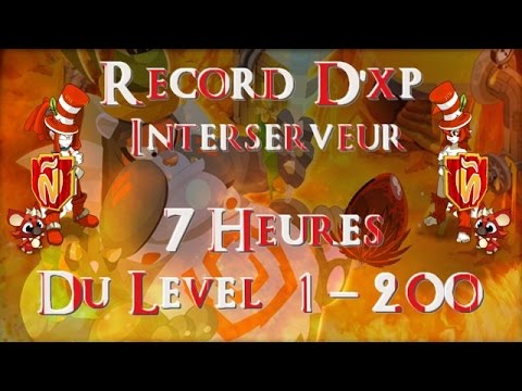 comment xp dofus