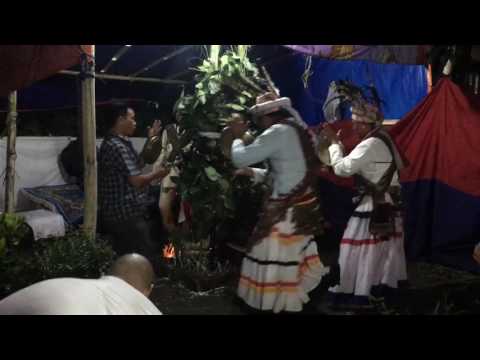 Tangsing limbu culture