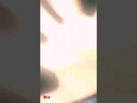 Concerto de Roberto Faray 🔥Más 1 día d vida