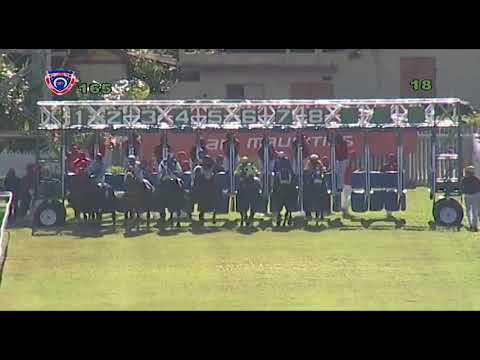 RM16 R5 - Talbec(I.Chisty)