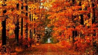 Koop -  Waltz For Koop (Bacon & Quarmby Remix)