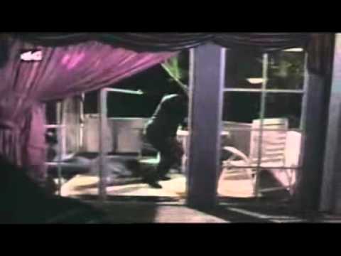 Jan Hammer Miami Vice Theme Video