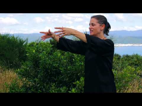 Modules 1 - 5 Review - Tai Chi 5 Minutes a Day