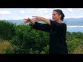 Modules 1 - 5 Review - Tai Chi 5 Minutes a Day