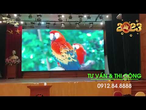 Video dự án
