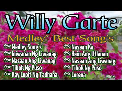 Willy Garte, Best Song's Medley, Cover By: FM Music Hits