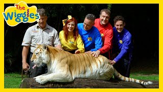 The Wiggles- There Are So Many Animals