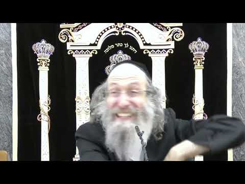 ביסט צום כסא הכבוד