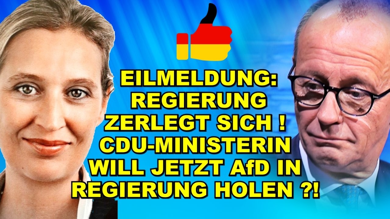 EIL: Regierung ZERLEGT! WECHSEL ZUR AfD?!