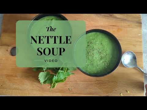 Nettle Soup Recipe: I Promise it Won't Sting