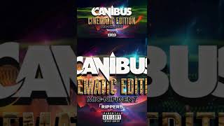 Mic-Nificent #shorts #canibus #remix #rap #music #rippersunite #micnificent