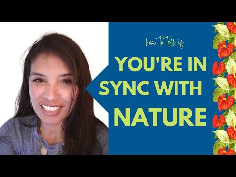 download lagu mp3 mp4 In Sync With Nature, download lagu In Sync With Nature gratis, unduh video klip In Sync With Nature
