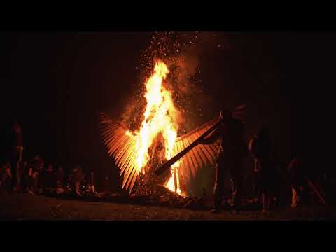 Fenix festival 2019 - HD - aftermovie by Martin Třešňák