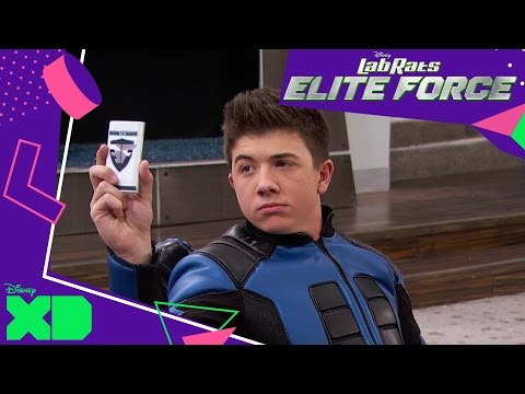 Lab Rats: Elite Force | They Grow Up So Fast | Official Disney XD UK