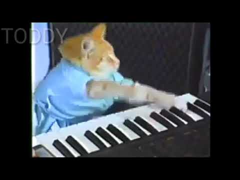 Malandramente (funk dos animais)