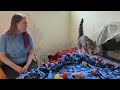 Working With Overstimulated Cats