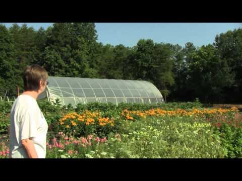 LOCAL: Hillcrest Farm - Advance, NC