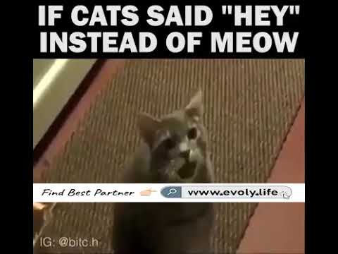 And on the 10th cakeday we say….Hey #cakeday