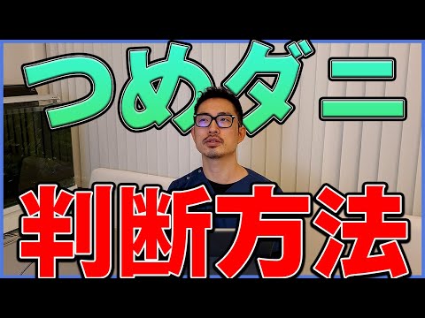 ウサギのダニ:寄生虫の侵入を予防し、治療する