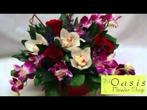 download lagu mp3 mp4 Oasis Flower Shop Calgary, download lagu Oasis Flower Shop Calgary gratis, unduh video klip Oasis Flower Shop Calgary