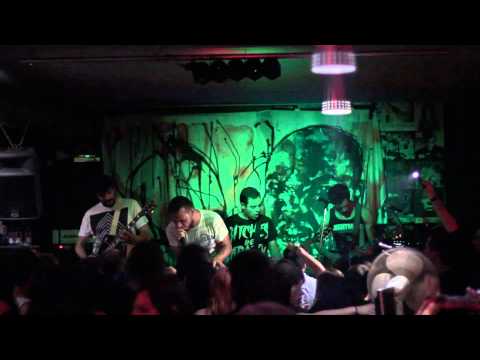 THE YEAR @ HARD FEST 2013