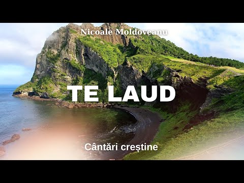 Te laud dis de dimineaţă - Nicolae Moldoveanu