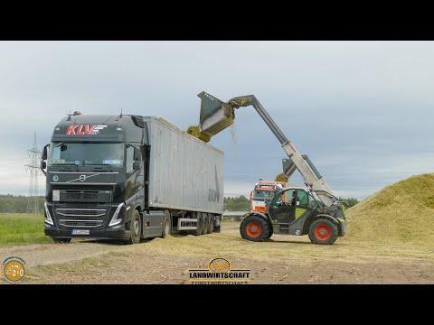 Großauftrag 4000 T Maissilage 2 Teleskoplader Verladen auf 8 LKW Gespanne Großeinsatz Landwirtschaft