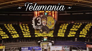 Download lagu TELUMANIA SUPORTER SMAN 3 SURABAYA || DBL INDONESIA ANTHEM TELUMANIA SURABAYA. mp3 Download lagu TELUMANIA SUPORTER SMAN 3 SURABAYA || DBL INDONESIA ANTHEM TELUMANIA SURABAYA. mp3