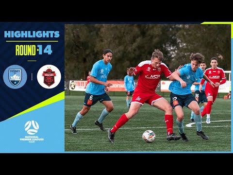 NPL NSW Men's Round 14 – Sydney FC v Wollongong Wolves
