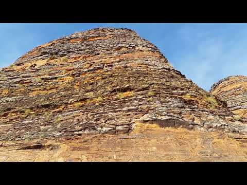 FoxRoo - Bungle Bungle National Park, Western Australia