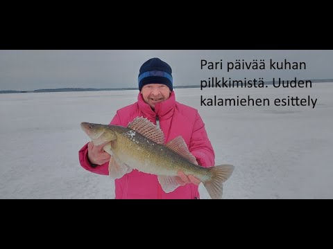 Isot kuhat löytyvät | 2 päivää kuhan pilkkimistä | Uuden kalamiehen esittely