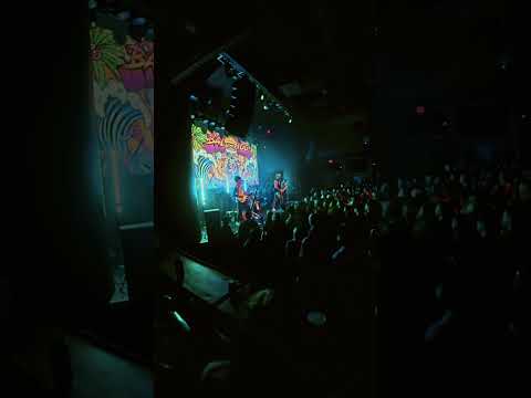 Dammit - Ballyhoo!