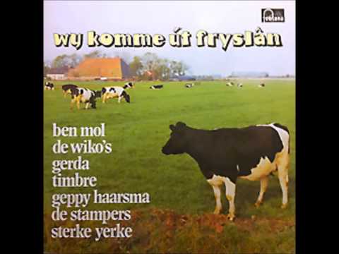 Headstel oan'e muorre   de wiko´s