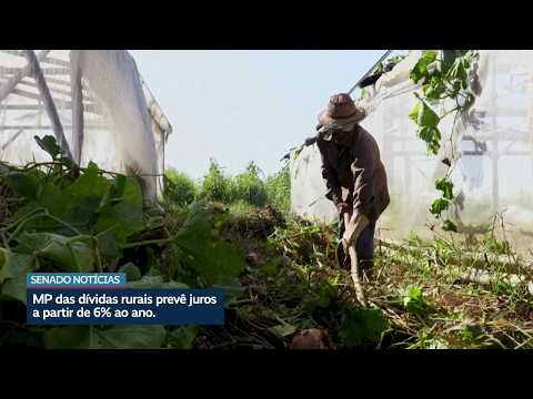 Entenda a MP das dívidas rurais