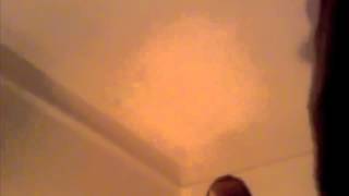 Bassnectar Dorfex Bos- John McClane / J-You Overlay