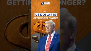 Why US Dollar Is Getting Stronger?