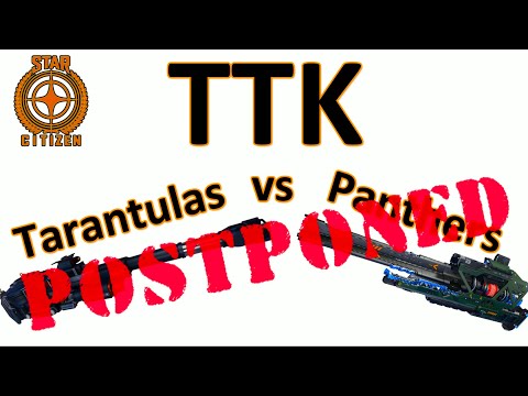 3.18.1 Time-to-kill test Tarantulas vs Panthers postponed because servers