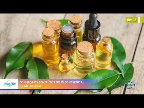 Conheça os benefícios do óleo essencial de melaleuca 27 05 2021