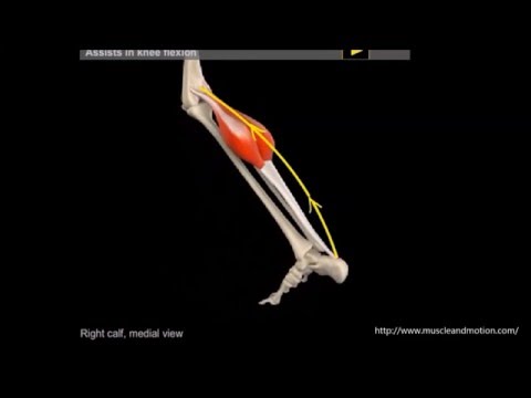 Wund und zieht sich zurück in den Magen 39 Wochen schwanger Zervikale Osteochondrose bestes Mittel