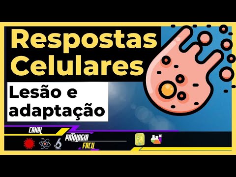Diferença entre lesão celular e adaptação celular: Respostas ao estresse  [Atualizado]