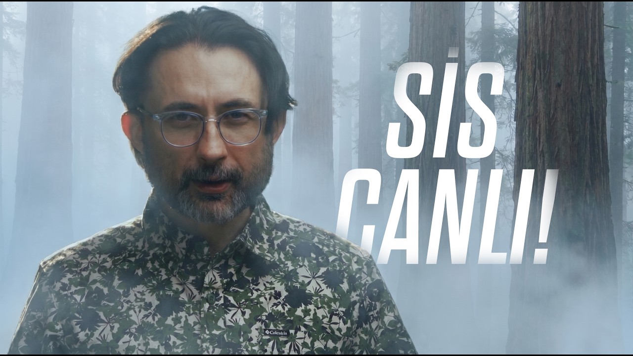 Sisin İçinde Bir Şey Yaşıyor!