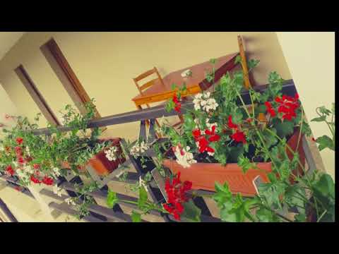 Pensiunea Laura- Cheile Turzii