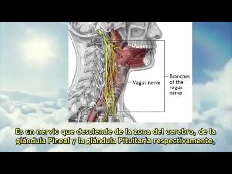 Santos Bonacci - The Sacred Secret Of The Christ Within