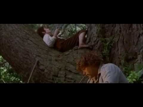 LOTR - Extended scene - Frodo and Sam camping